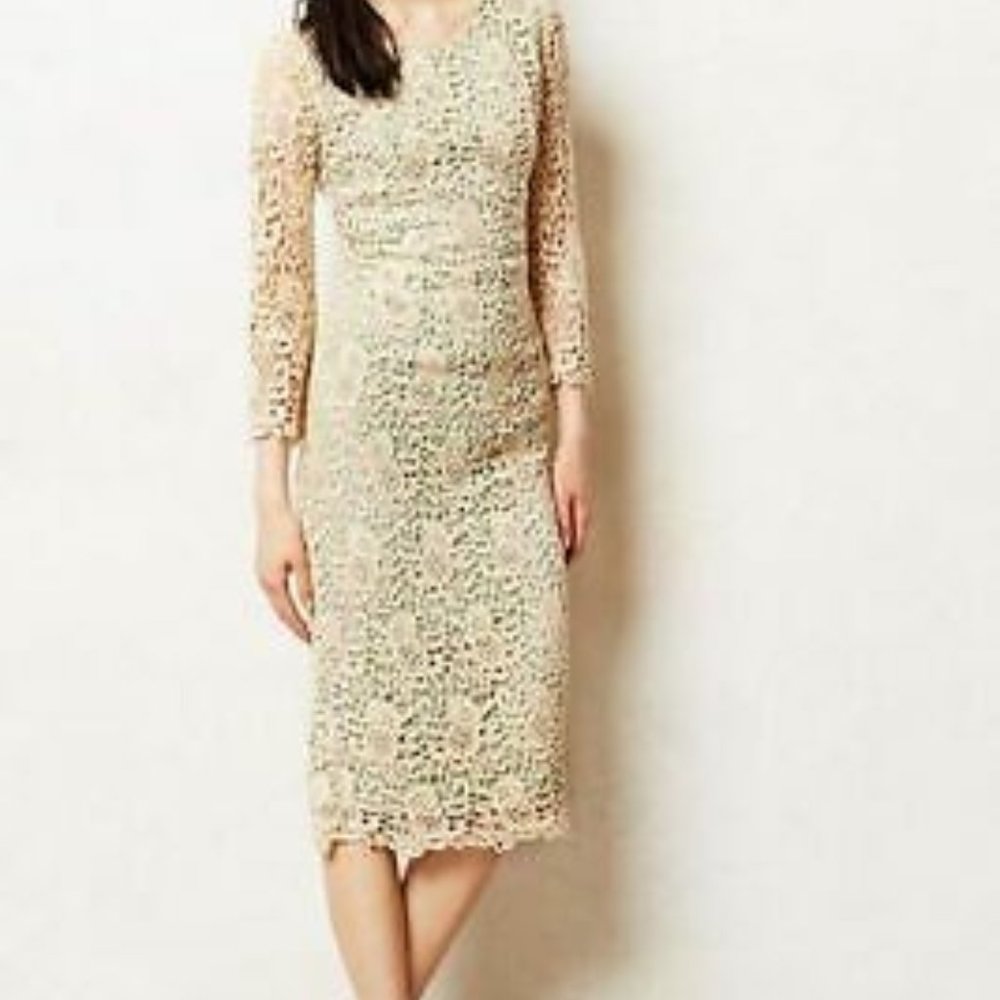Champagnes and roses lace dress